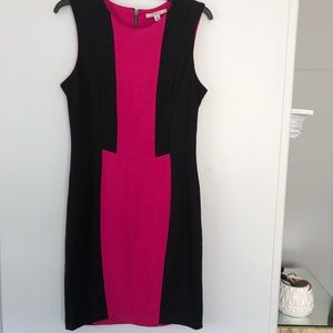 41 Hawthorn Career Dress • M
